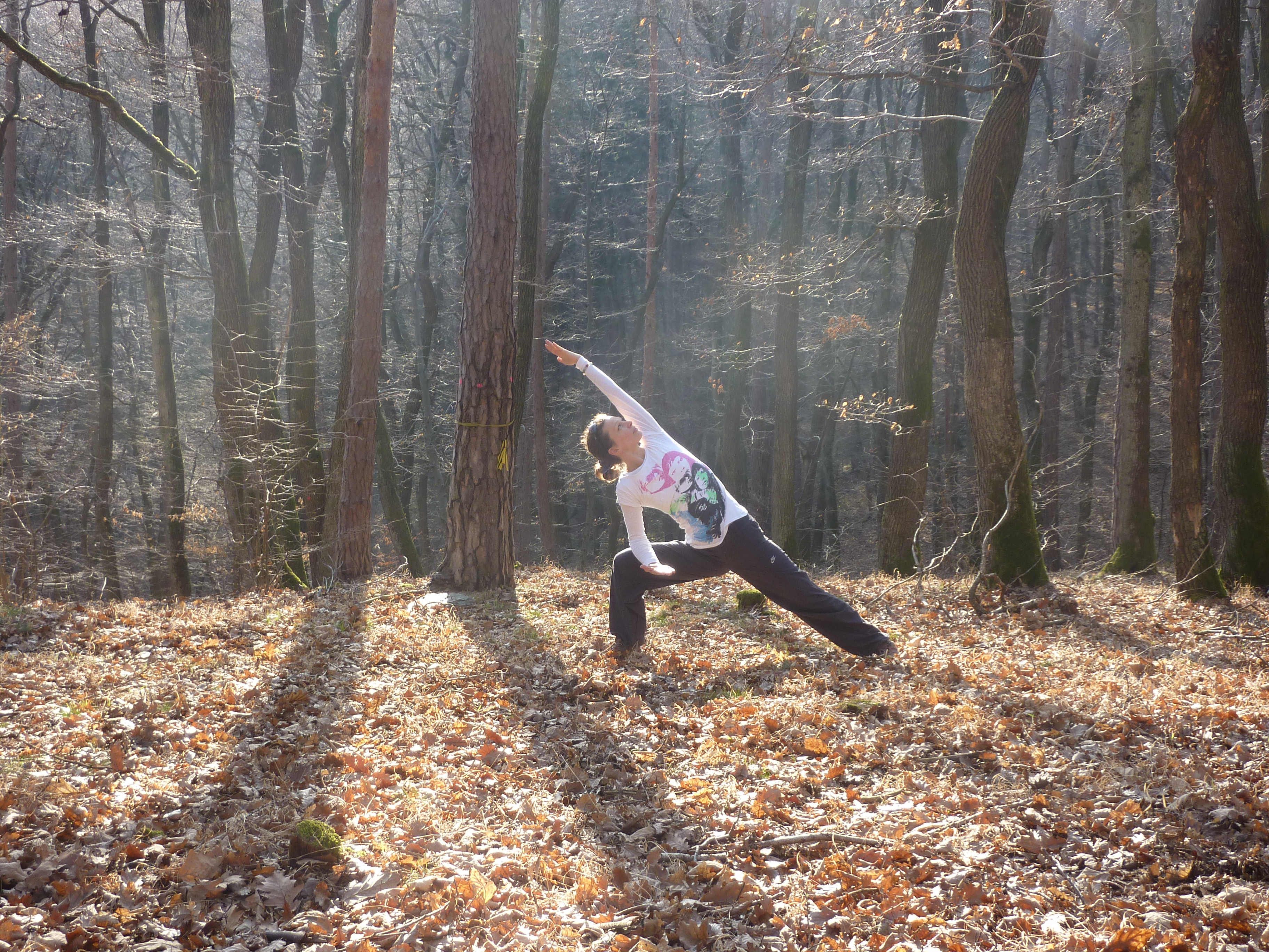 Parsvakonasana